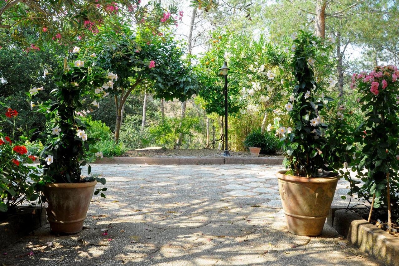 Agriresort Villa Bentivoglio Piazza Armerina Exteriör bild